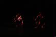 Incarnation/Incarnation31.JPG